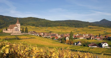 Halte ! dégustation